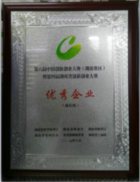 南冠安全荣获第六届中国创新创业大赛（湖南赛区）成长组“优秀企业奖”